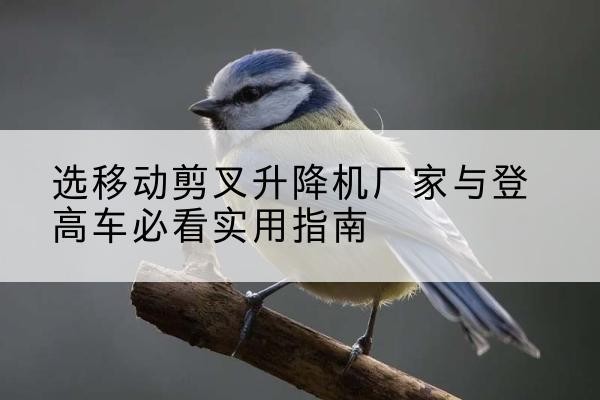 安乡电动升降机厂家-选移动剪叉升降机厂家与登高车必看实用指南