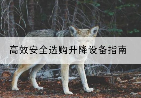 安乡升降货梯厂家推荐-*安全选购升降设备指南
