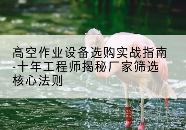 安乡剪叉式升降机厂家-高空作业设备选购实战指南-十年工程师揭秘厂家筛选核心法则